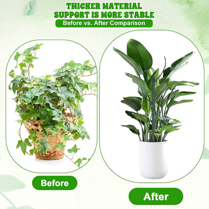 5Pcs Stackable Monstera Plant Support Stake Stem Holder Structures Frame & Plant Cage Support Ring for Sphagnum Twig Trellis Indoor Outdoor Potted Plants Stick for Vine Training & Stem Stabilization