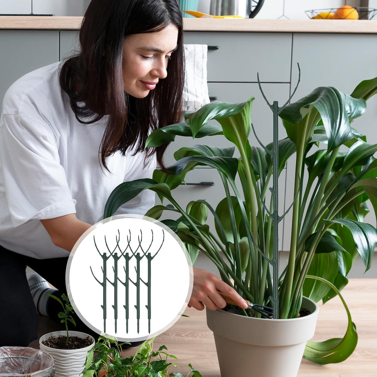 5Pcs Stackable Monstera Plant Support Stake Stem Holder Structures Frame & Plant Cage Support Ring for Sphagnum Twig Trellis Indoor Outdoor Potted Plants Stick for Vine Training & Stem Stabilization