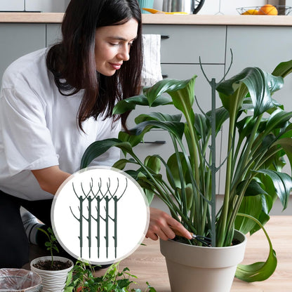 5Pcs Stackable Monstera Plant Support Stake Stem Holder Structures Frame & Plant Cage Support Ring for Sphagnum Twig Trellis Indoor Outdoor Potted Plants Stick for Vine Training & Stem Stabilization