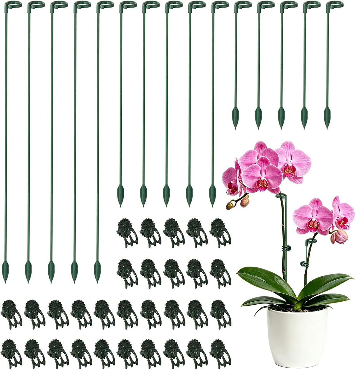 30 Pcs Plant Support Stakes with 30 Pcs Plant Clips Garden Floral Flower Support Single Stem Support Stake for Phalaenopsis Orchid Flower Roses Amaryllis