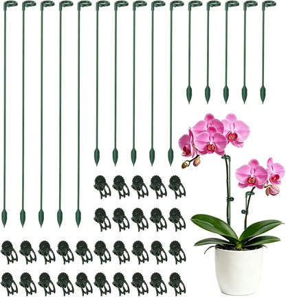 30 Pcs Plant Support Stakes with 30 Pcs Plant Clips Garden Floral Flower Support Single Stem Support Stake for Phalaenopsis Orchid Flower Roses Amaryllis