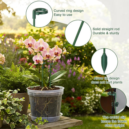 30 Pcs Plant Support Stakes with 30 Pcs Plant Clips Garden Floral Flower Support Single Stem Support Stake for Phalaenopsis Orchid Flower Roses Amaryllis