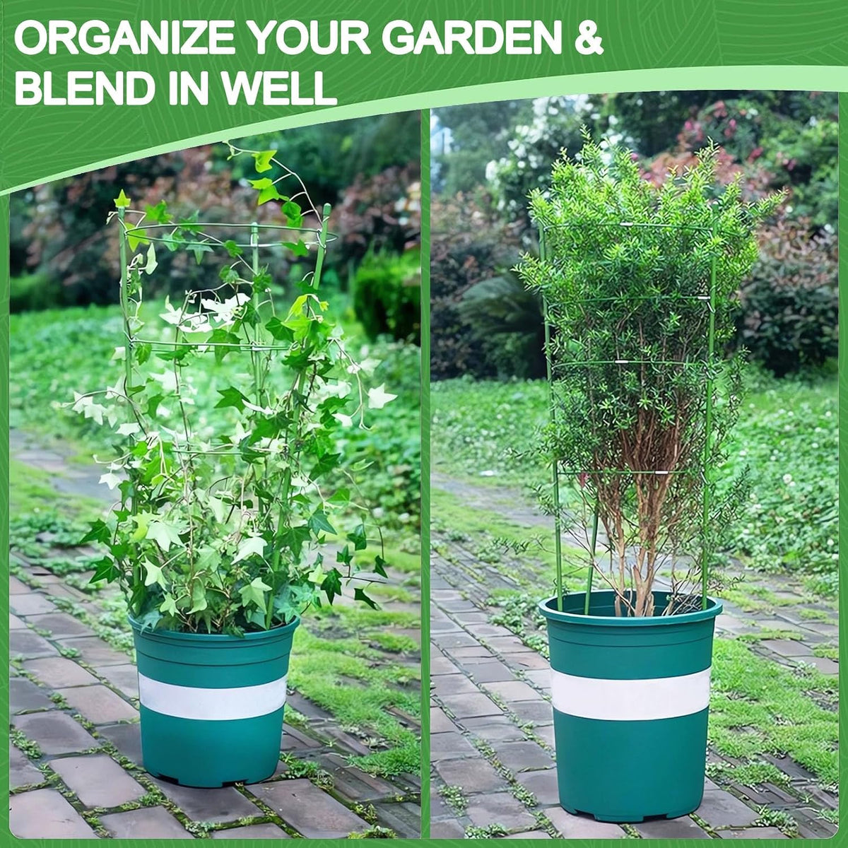 3 Pack Tomato Cage for Pots Plant Support, Upgrade 36 Inches Tomato Cages for Garden, Pepper Cage Trellis Kit with Plant Tie and Clips (36")