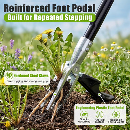 39" Stand Up Weed Puller Tool - Heavy Duty Detachable 3-Claw Weeder with Ergonomic Long D-Handle | Tools for Effortless Garden Weed Removal (Dandelions, Thistles & More)