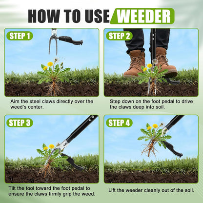 39" Stand Up Weed Puller Tool - Heavy Duty Detachable 3-Claw Weeder with Ergonomic Long D-Handle | Tools for Effortless Garden Weed Removal (Dandelions, Thistles & More)