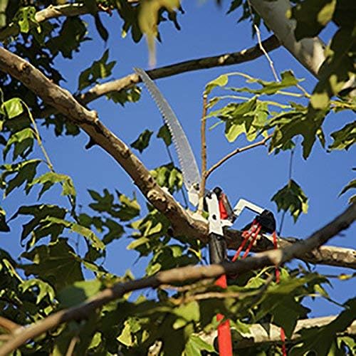 TP 4210 DualLink Tree Saw and Pruner, 10 Feet,Red