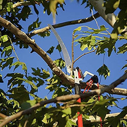 TP 4210 DualLink Tree Saw and Pruner, 10 Feet,Red
