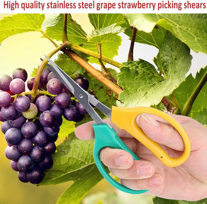 Garden Scissors Stainless Steel Garden Bonsai Pruning Shears (Classic)