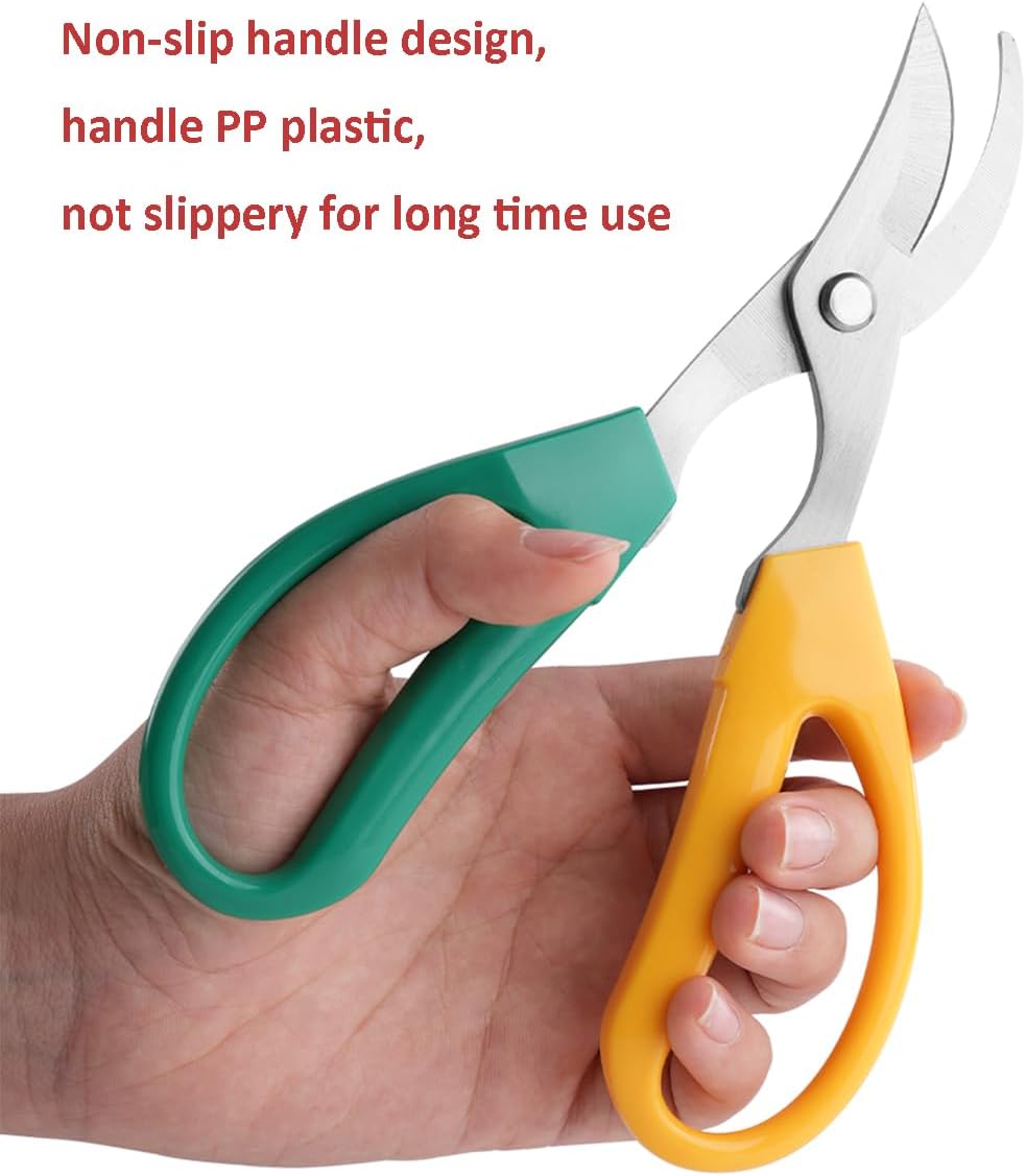 Garden Scissors Stainless Steel Garden Bonsai Pruning Shears (Classic)