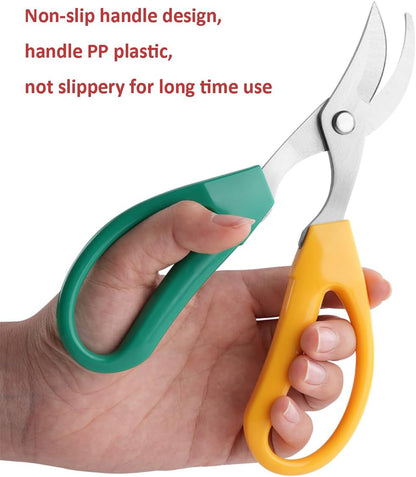 Garden Scissors Stainless Steel Garden Bonsai Pruning Shears (Classic)
