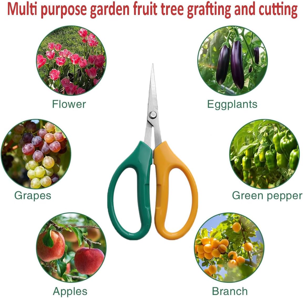 Garden Scissors Stainless Steel Garden Bonsai Pruning Shears (Classic)