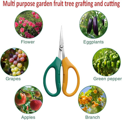 Garden Scissors Stainless Steel Garden Bonsai Pruning Shears (Classic)