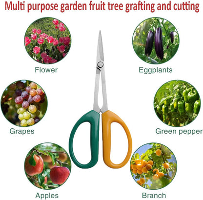 Garden Scissors Stainless Steel Garden Bonsai Pruning Shears (Classic)
