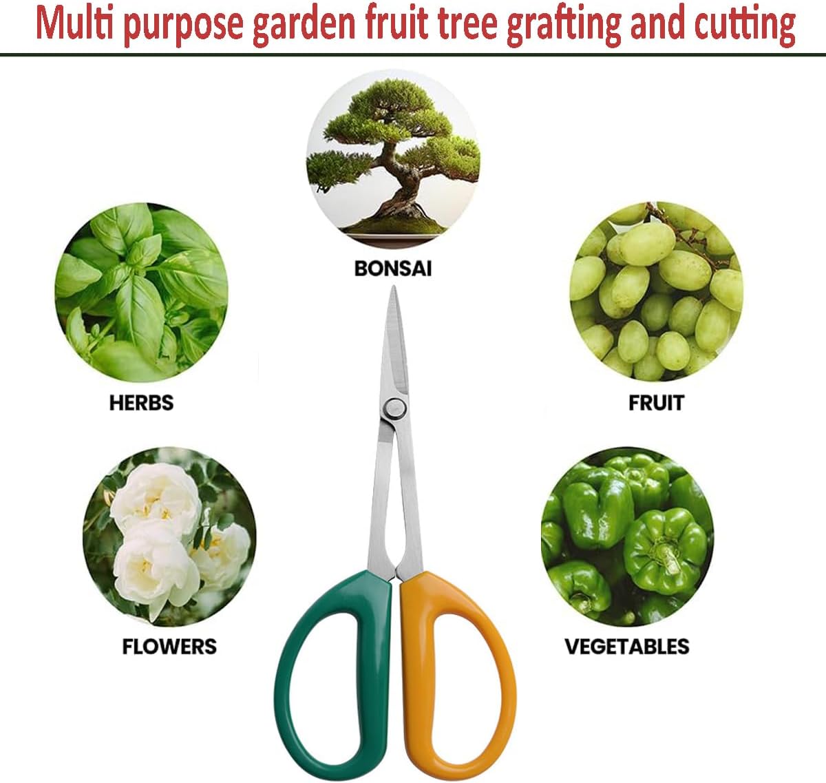 Garden Scissors Stainless Steel Garden Bonsai Pruning Shears (Classic)