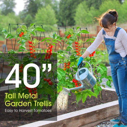 Cucumber Trellis for Raised Bed, Garden Trellis 16.5 x 40 Inch, Green