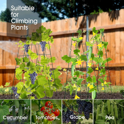 Cucumber Trellis for Raised Bed, Garden Trellis 16.5 x 40 Inch, Green