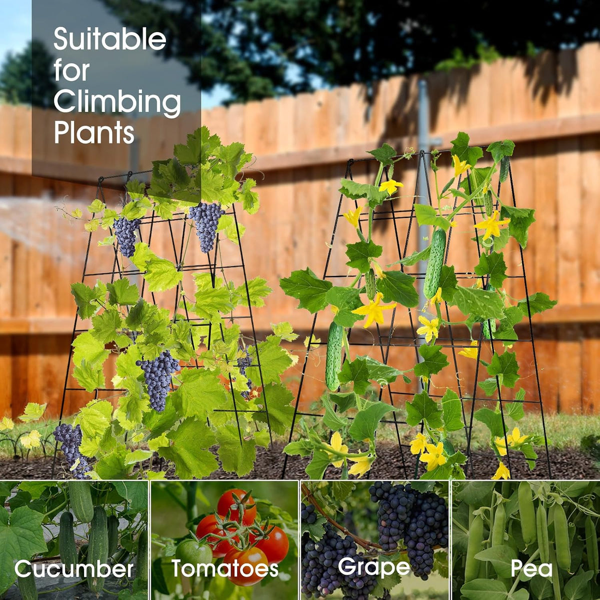 Cucumber Trellis for Raised Bed, Garden Trellis 16.5 x 40 Inch, Green