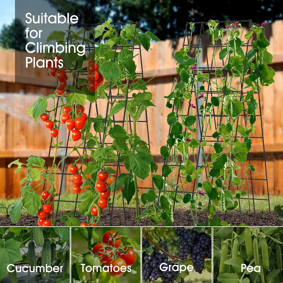 Cucumber Trellis for Raised Bed, Garden Trellis 16.5 x 40 Inch, Green