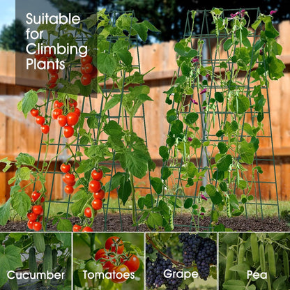 Cucumber Trellis for Raised Bed, Garden Trellis 16.5 x 40 Inch, Green