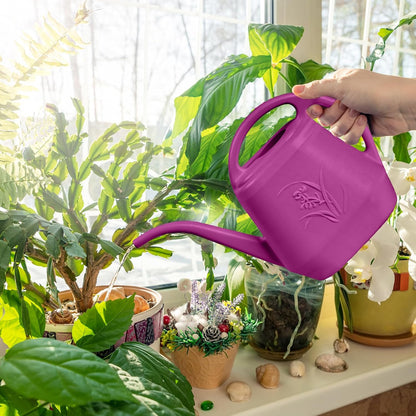 Plastic Watering Can - for Indoor and Outdoor Plant - 1/2 Gallon - Wine Red