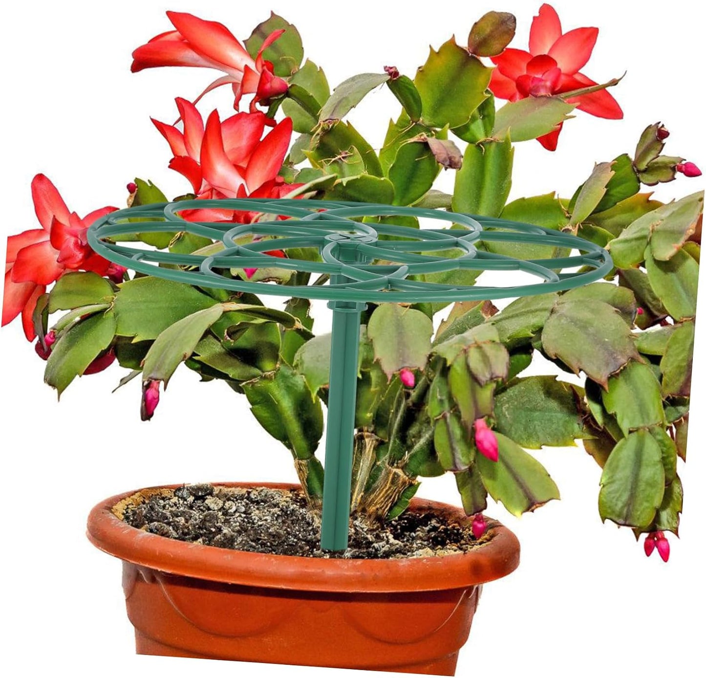 Green PP Plant Support Cage Flower Tower for Tomatoes