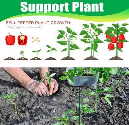 15Set 13.7 Inch Garden Stakes, 48 Pack Tomato Stakes Plastic Coated Metal Plant Sticks DIY 4ft 5ft 6ft 7ft 8ft Stakes Supports for Indoor Outdoor Plants Vegetable