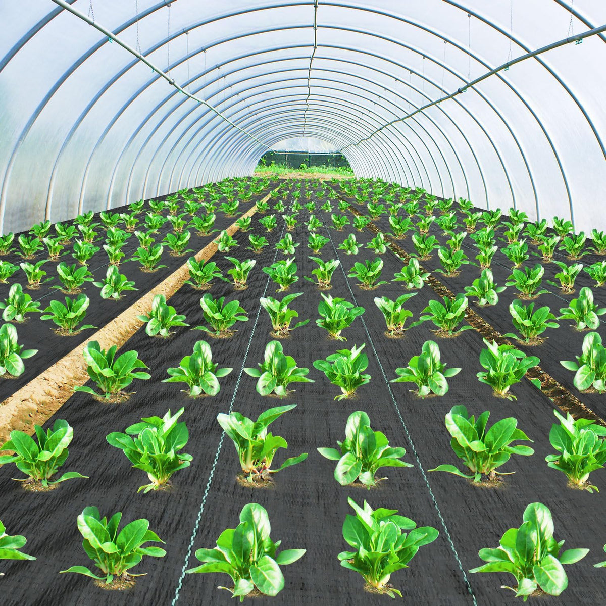 Weed Barrier Fabric 3x300FT Landscape Fabric 3.2oz Weed Barrier Fabric Heavy Duty for Landscaping Fabric Garden Fabric Weed Barrier Weed Blocker Garden Bed Cover, Commercial Driveway