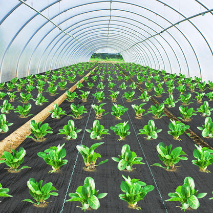 Weed Barrier Fabric 3x300FT Landscape Fabric 3.2oz Weed Barrier Fabric Heavy Duty for Landscaping Fabric Garden Fabric Weed Barrier Weed Blocker Garden Bed Cover, Commercial Driveway