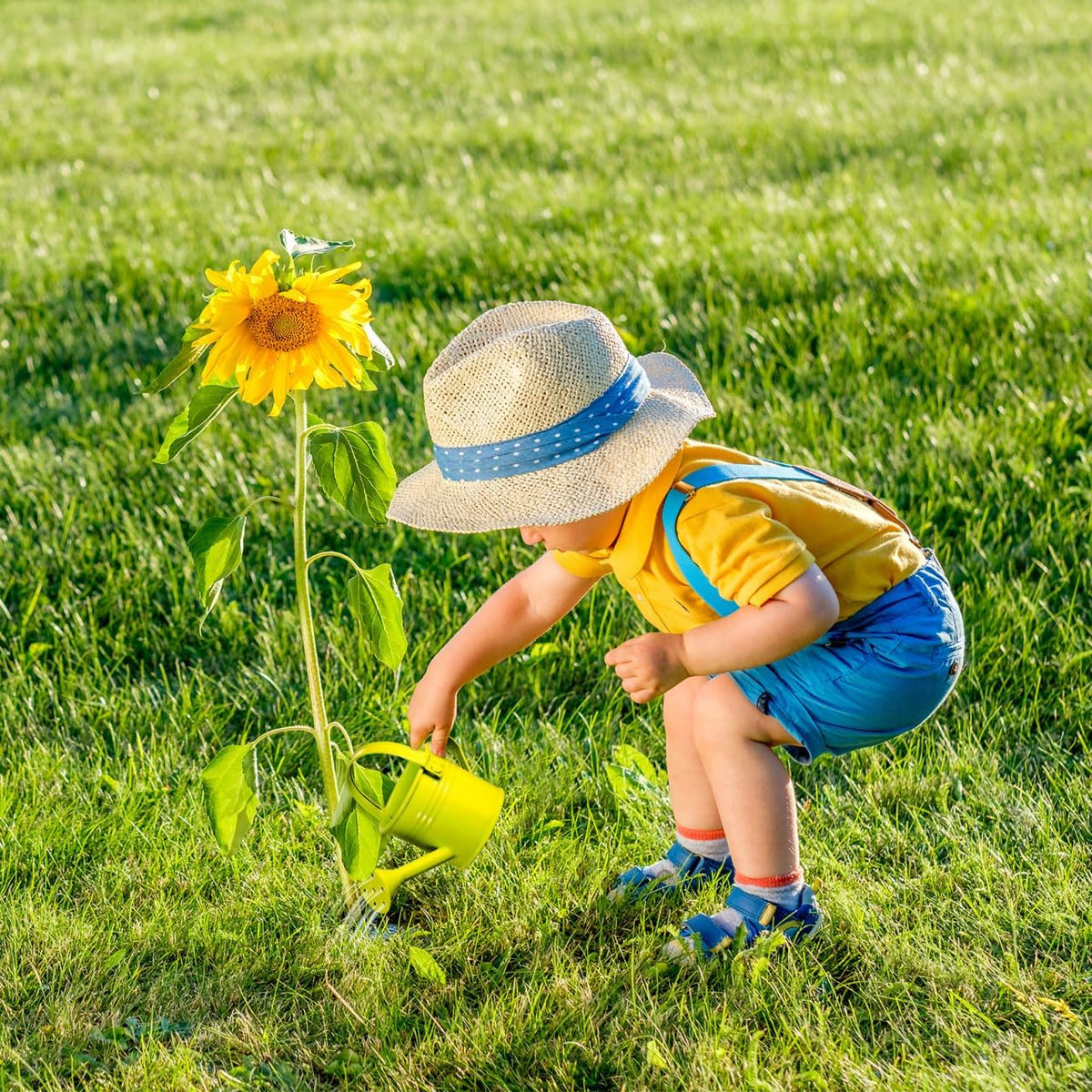 5-Pack Kids Watering Cans Set Mini Garden Watering Pots with Long Spout for Indoor and Outdoor Plants Easy-Grip Handles for Children S Gardening Fun 6.29 X 2.95 X 2.95 Inches