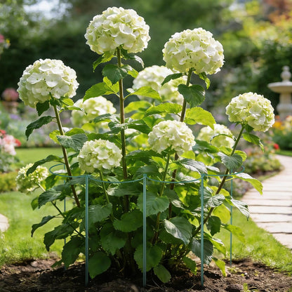 10 Pack Peony Cages and Supports, Plant Support Stakes, 24" x 10"