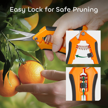 3 Packs 6.5 Inch Pruning Shears Gardening Hand Pruning Snips Gardening Scissors with Straight Stainless Steel Precision Blades
