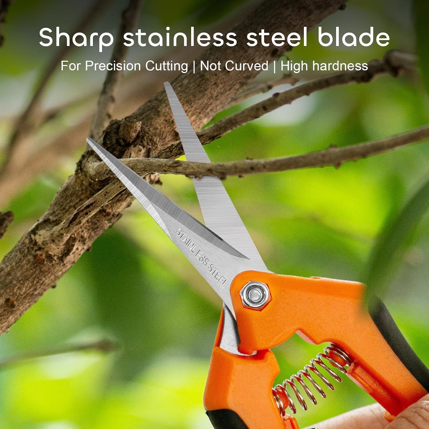 3 Packs 6.5 Inch Pruning Shears Gardening Hand Pruning Snips Gardening Scissors with Straight Stainless Steel Precision Blades