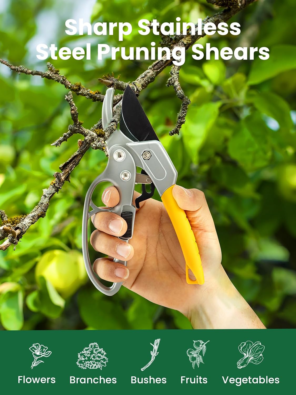 3 Packs 6.5 Inch Pruning Shears Gardening Hand Pruning Snips Gardening Scissors with Straight Stainless Steel Precision Blades