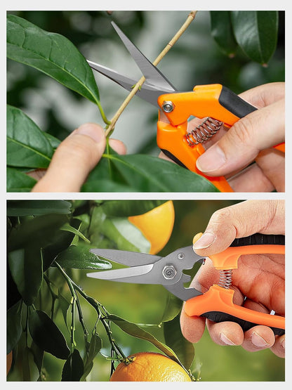 3 Packs 6.5 Inch Pruning Shears Gardening Hand Pruning Snips Gardening Scissors with Straight Stainless Steel Precision Blades