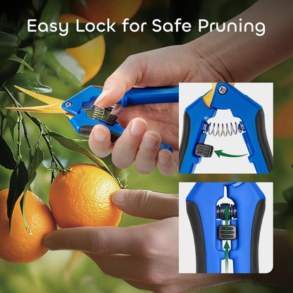 3 Packs 6.5 Inch Pruning Shears Gardening Hand Pruning Snips Gardening Scissors with Straight Stainless Steel Precision Blades