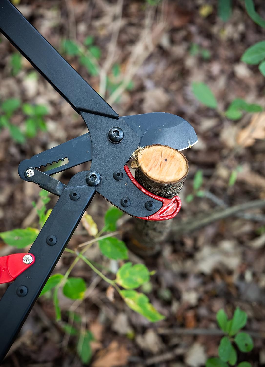 BranchCutter Anvil Loppers. Ratcheting Tree Cutter - Sub Compact Lightweight Packable Loppers best Tree Branch Cutter - Yard Tools Since 1988
