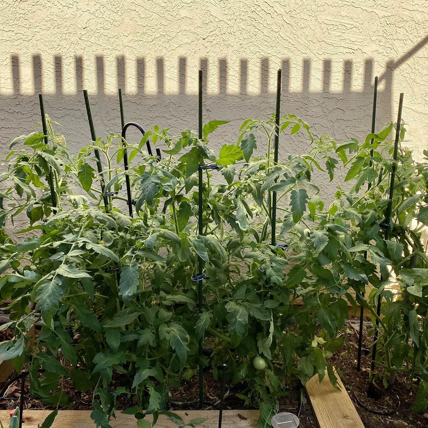 Garden Stakes, 57 Inch (Approx 5Ft) Steel Plant Tomato Stakes, 25 Pack