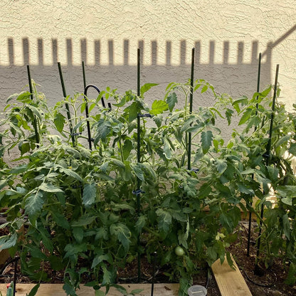 Garden Stakes, 57 Inch (Approx 5Ft) Steel Plant Tomato Stakes, 25 Pack