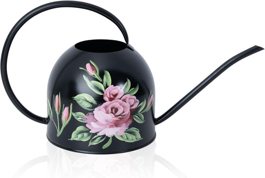 Metal Small Watering Can for Indoor Outdoor Plants, Pretty Water Cans