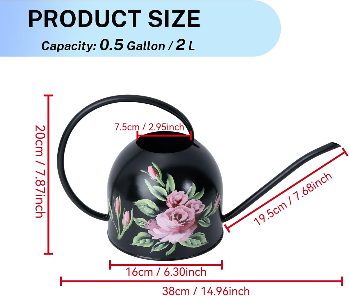 Metal Small Watering Can for Indoor Outdoor Plants, Pretty Water Cans