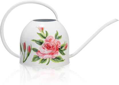 Metal Small Watering Can for Indoor Outdoor Plants, Pretty Water Cans