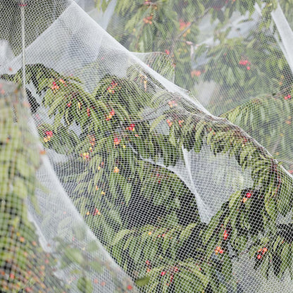 10 x 50FT Garden Netting, Plant Covers Durable Ultra Fine Mesh Protection, Garden Plant Row Cover, Raised Bed Barrier Screen Protection Net Cover for Plant Vegetable Fruit Flower