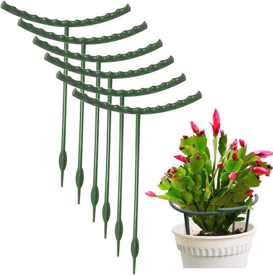 Plant Stakes Small Plant Supports for Indoor Plants Holder Sticks