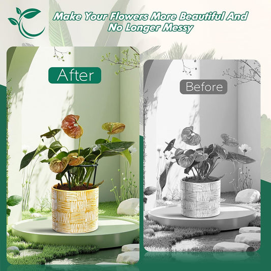 Plant Stakes Small Plant Supports for Indoor Plants Holder Sticks