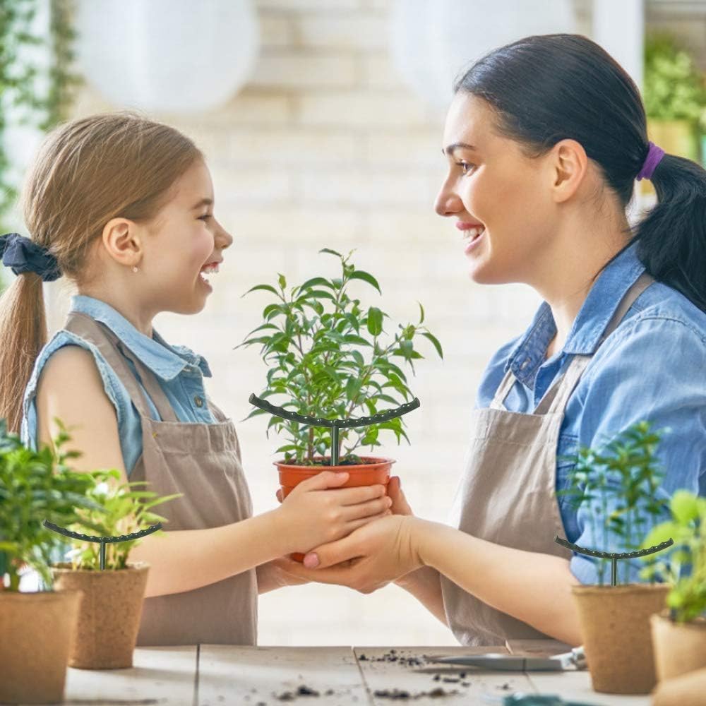 Plant Stakes Small Plant Supports for Indoor Plants Holder Sticks