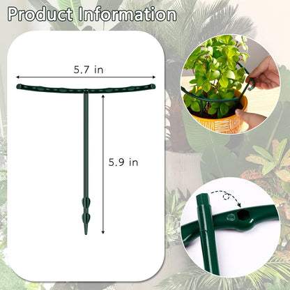 Plant Stakes Small Plant Supports for Indoor Plants Holder Sticks