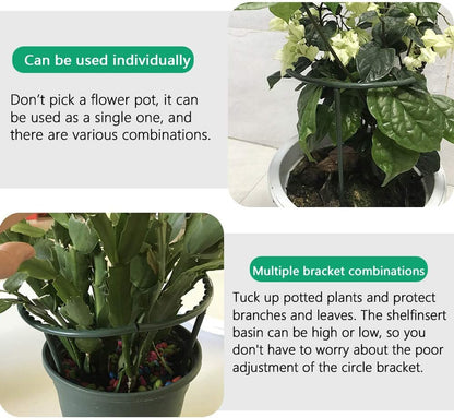 Plant Stakes Small Plant Supports for Indoor Plants Holder Sticks