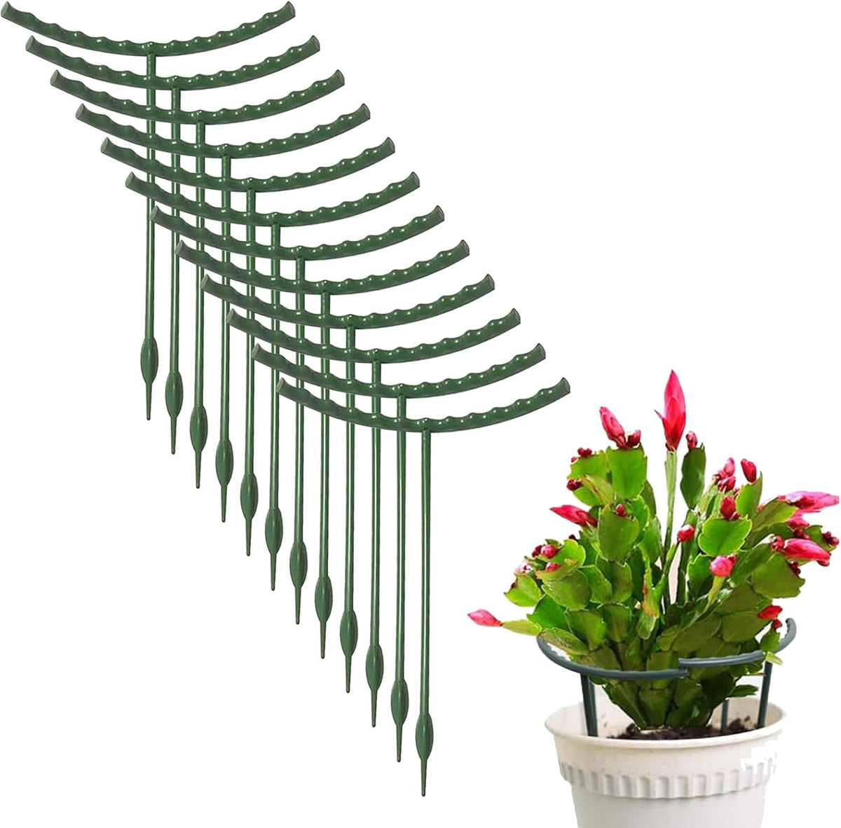 Plant Stakes Small Plant Supports for Indoor Plants Holder Sticks