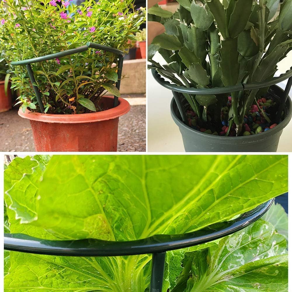 Plant Stakes Small Plant Supports for Indoor Plants Holder Sticks