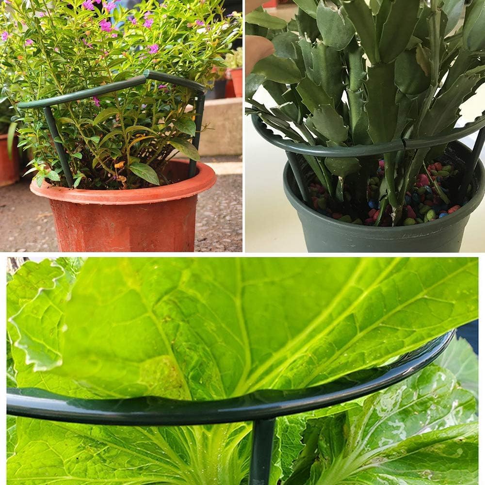 Plant Stakes Small Plant Supports for Indoor Plants Holder Sticks